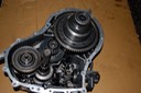 DSC_0987.JPG